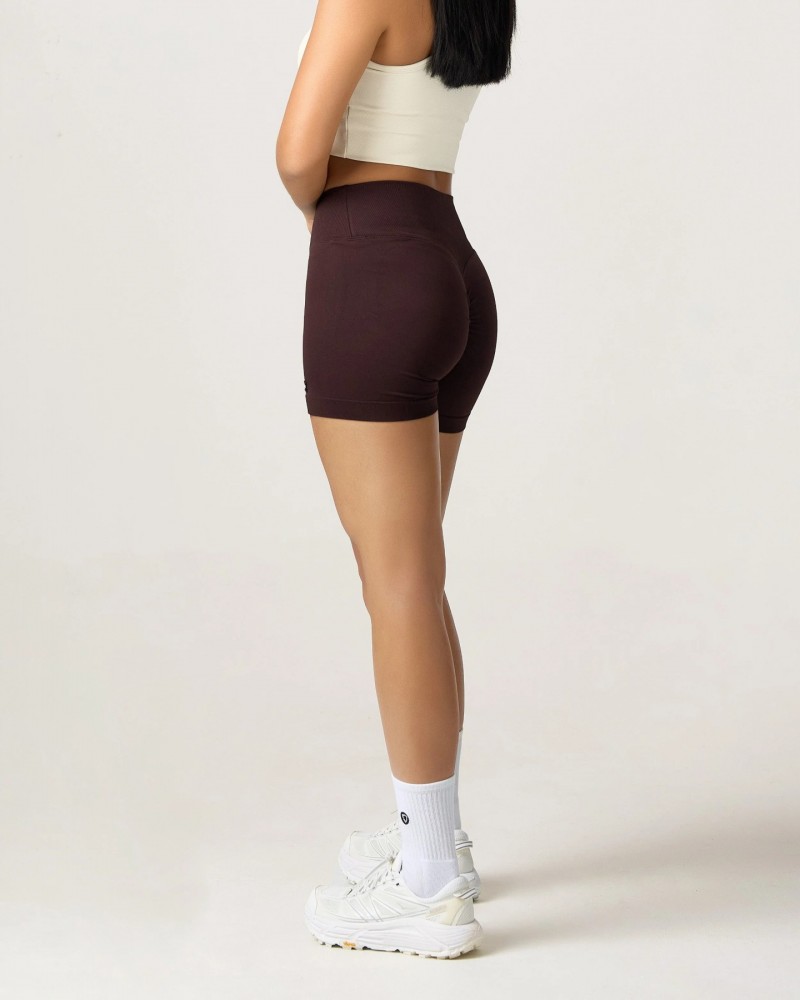 Label V-Waist Sculpt Shorts (Chocolate)